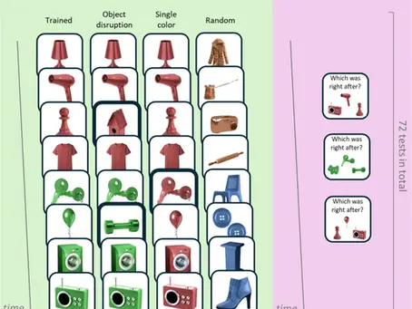 “Cehalet Mutluluktur” Yeni Makalemiz Yayınlandı - “Ignorance is Bliss” Our New Paper is Published