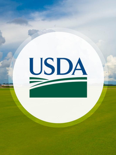 Fishing Communities Coalition applauds USDA Seafood Office announcement