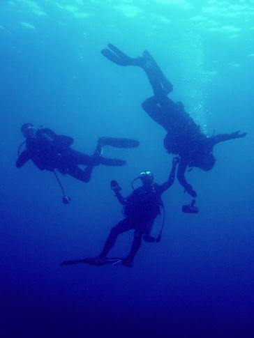 Blue Dive