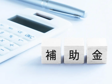 令和5年度補正「中堅・中小企業の賃上げに向けた省力化等の大規模成長投資補助金」