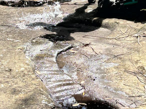 Connecting with Country bushwalking with Mark 14 Sept