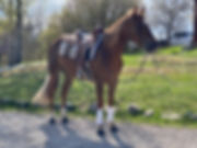 IMG_0823.jpeg
