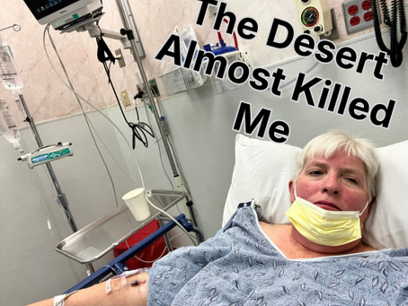 the desert almost killed me
