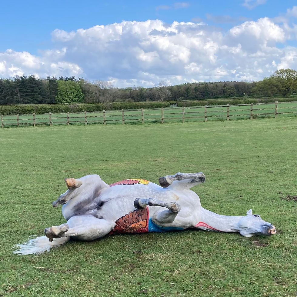 gillian higgins horses inside out horse rolling