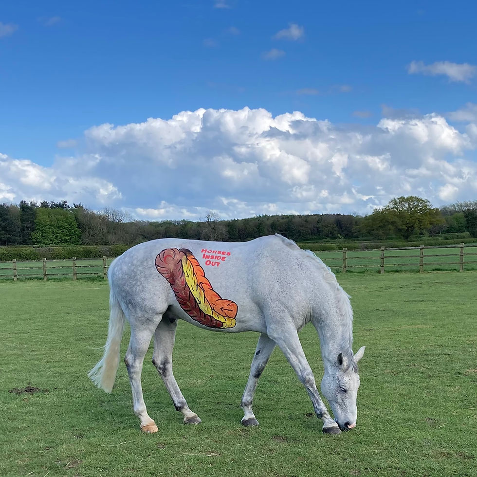 gillian higgins horses inside out hindgut horse grazing