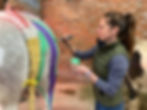 Horses Inside Out, paint horse, anatomy, muscle chains, semitendinosus