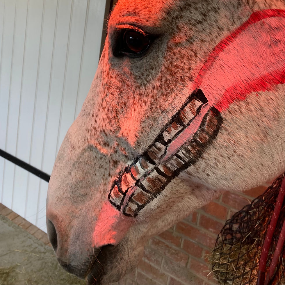 gillian higgins horses inside out painted head molars