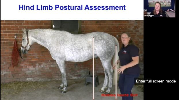 Hindlimb postural assessment with Gillian Higgins