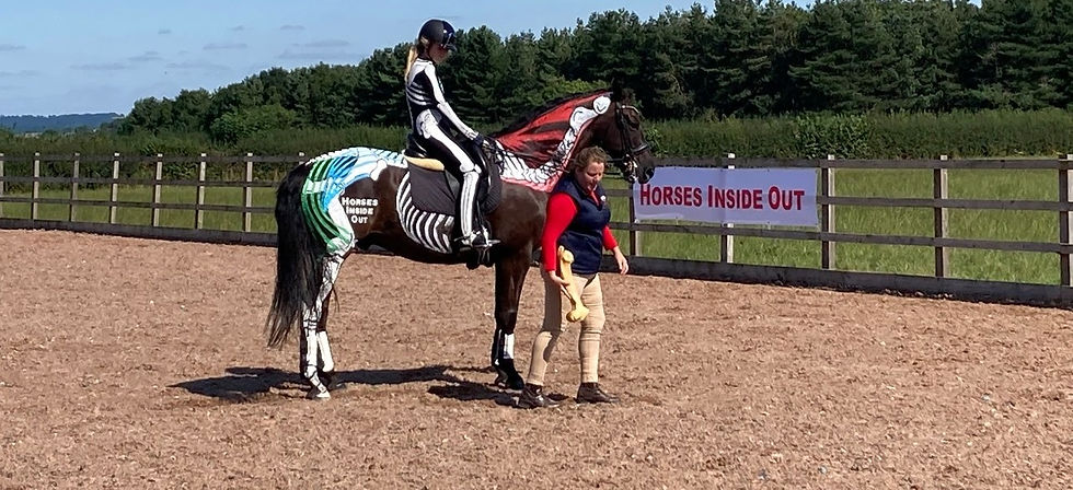 gillian higgins horses inside out filming lili hans