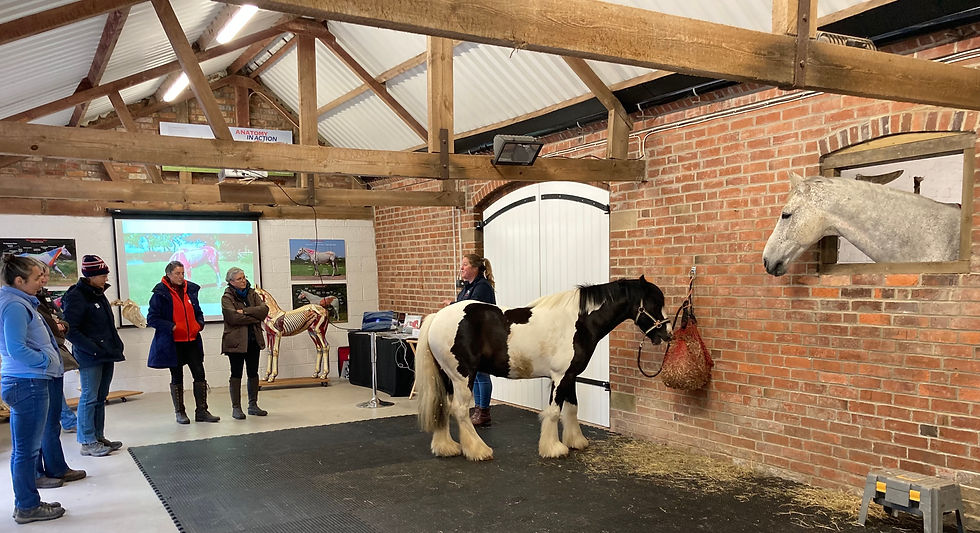 gillian higgins horses inside out classroom lecture demonstration pilates for horses, core stability strengthening exercises, course with Gillian Higgins Horses Inside Out Posture