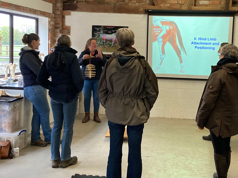 gillian higgins horses inside out classroom lecture pilates for horses, core stability strengthening exercises, course with Gillian Higgins Horses Inside Out Posture