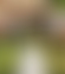 MAIS MULHERES ELETRICISTAS EM CAMPO: NEO ENERGIA COSERN AMPLIA PRESENÇA FEMININA NO RN