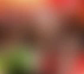 CACTUS MOTO FEST CHEGA À 19ª EDIÇÃO E PROMETE MOVIMENTAR CURRAIS NOVOS COM MÚSICA E MOTOCICLISMO