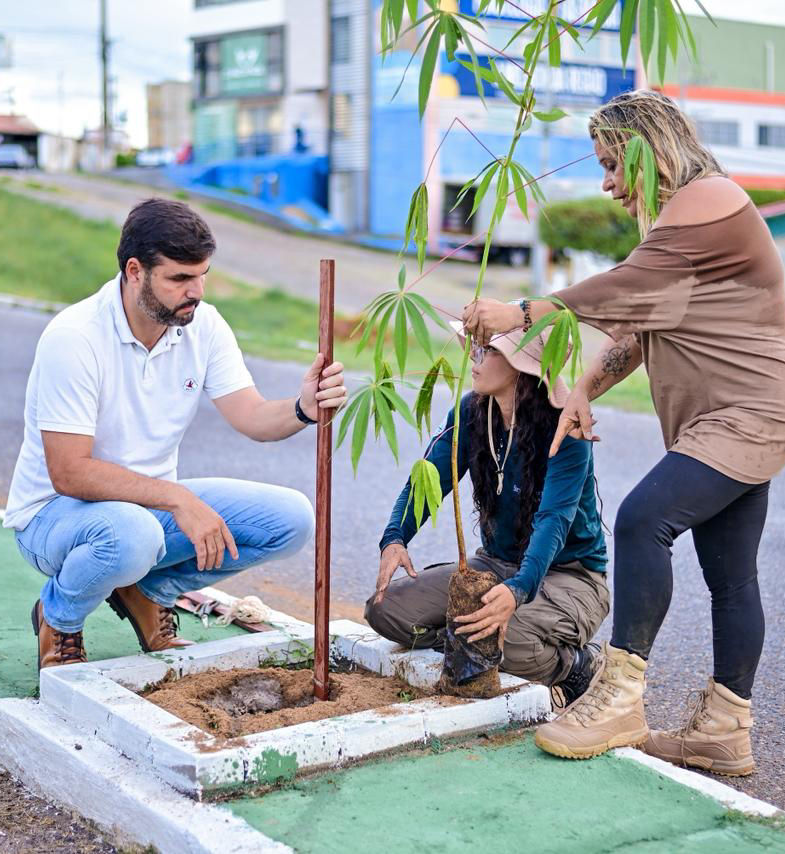 CURRAIS NOVOS AVANÇA NA ARBORIZAÇÃO URBANA COM PLANTIO DE MAIS DE 100 ÁRVORES
