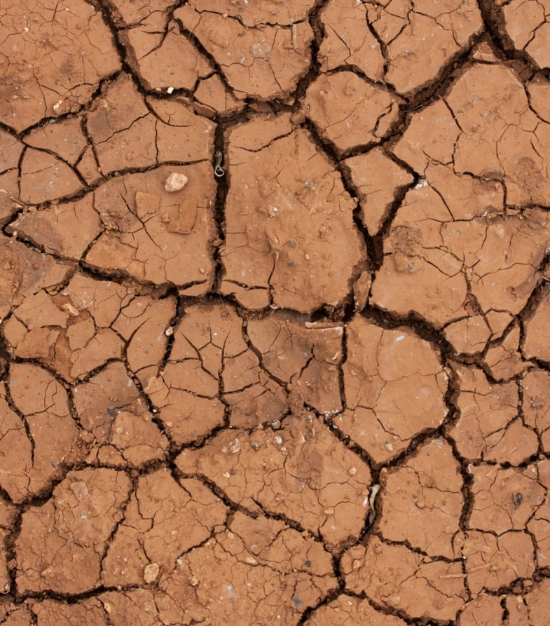 RN TEM 22 MUNICÍPIOS ENTRE OS 100 MAIS AFETADOS PELA DESERTIFICAÇÃO NO NORDESTE