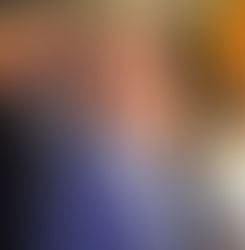FLÁVIO BOLSONARO PREPARA ENTREVISTA NOS EUA PARA EXPLICAR SAÍDA DO BRASIL