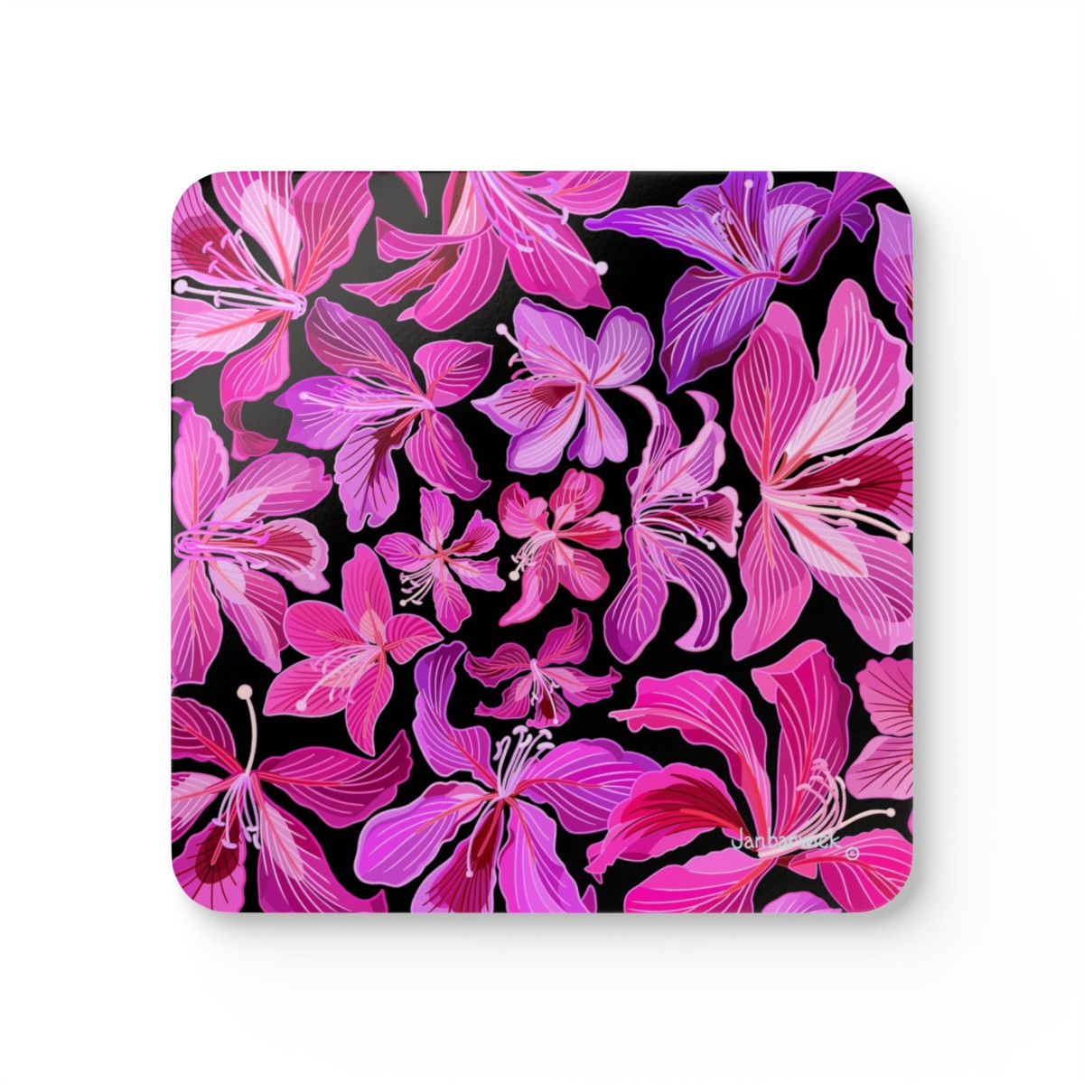 Corkwood Coaster Set