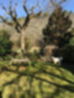 Uncle Richard's bench