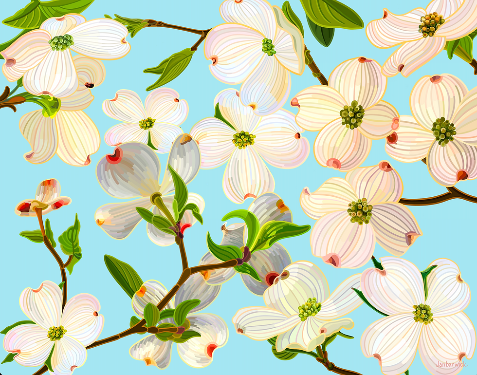 Thumbnail: Dogwood on Pale Sky Poly Satin XL Sarong