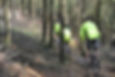 3730029_ed914842