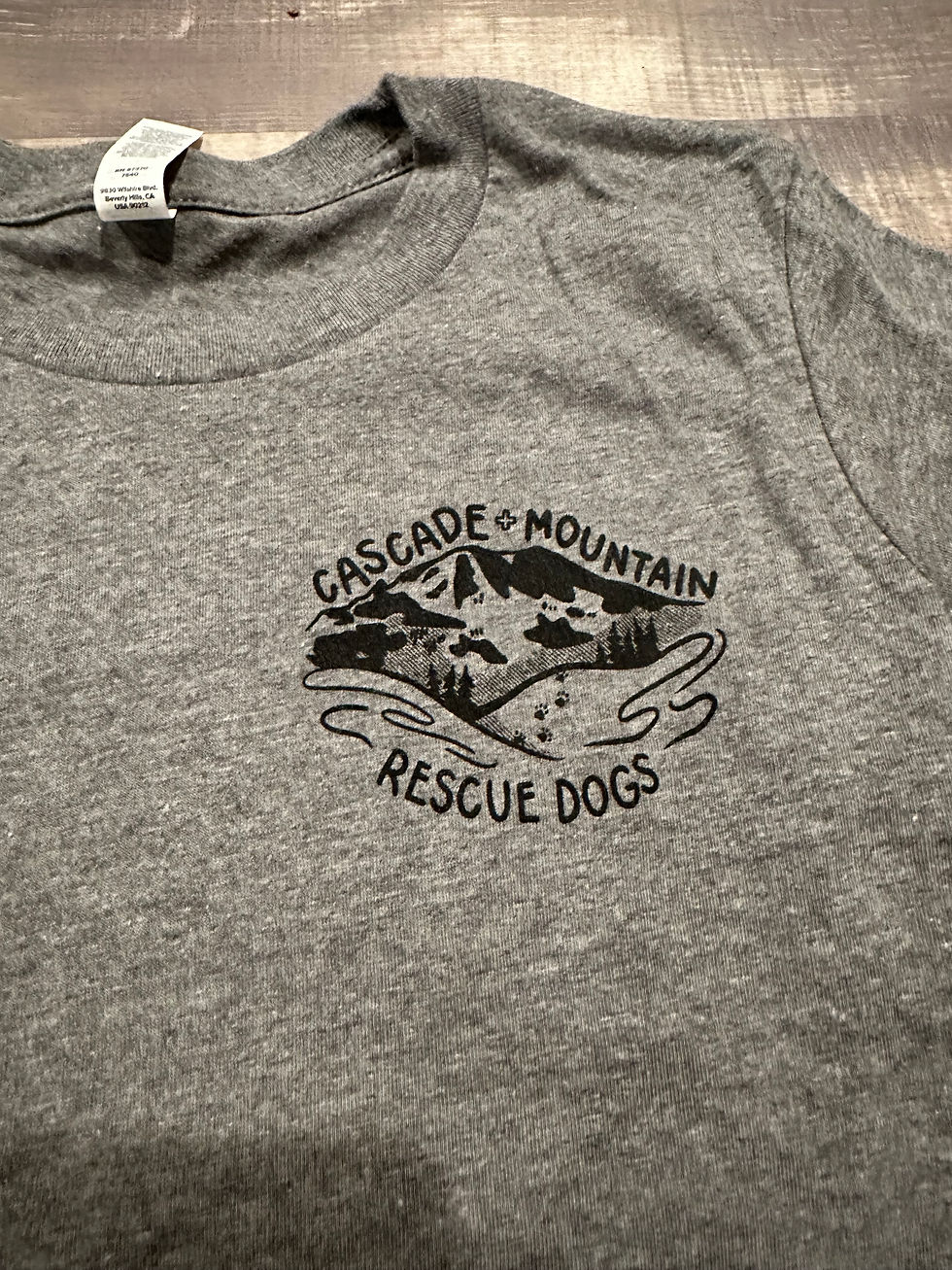 Thumbnail: Youth T-shirt
