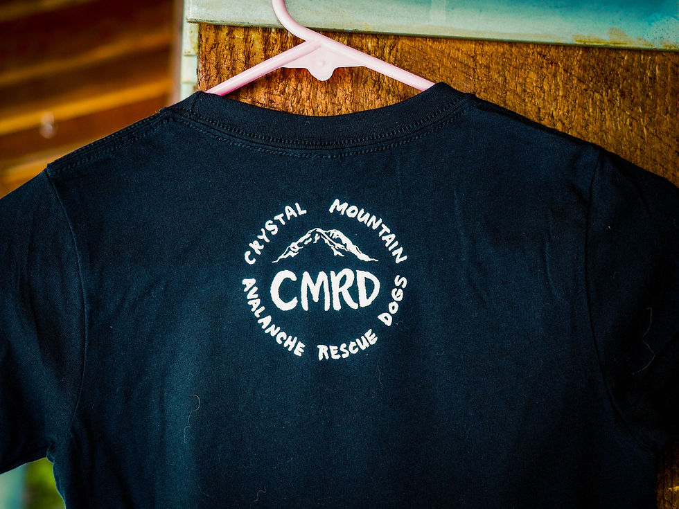 Thumbnail: Children's T-Shirt