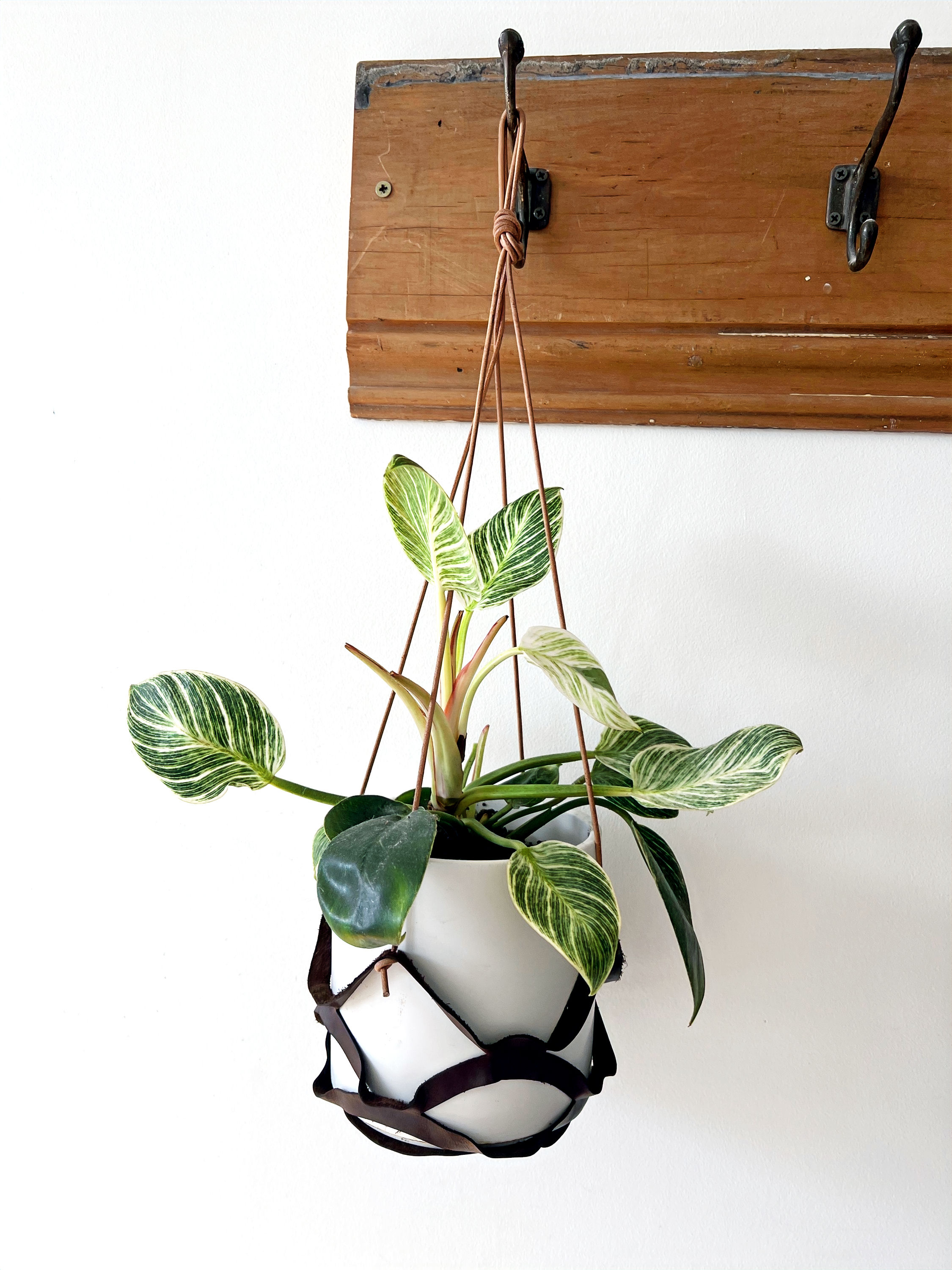 Medium Planter - Dark Tan