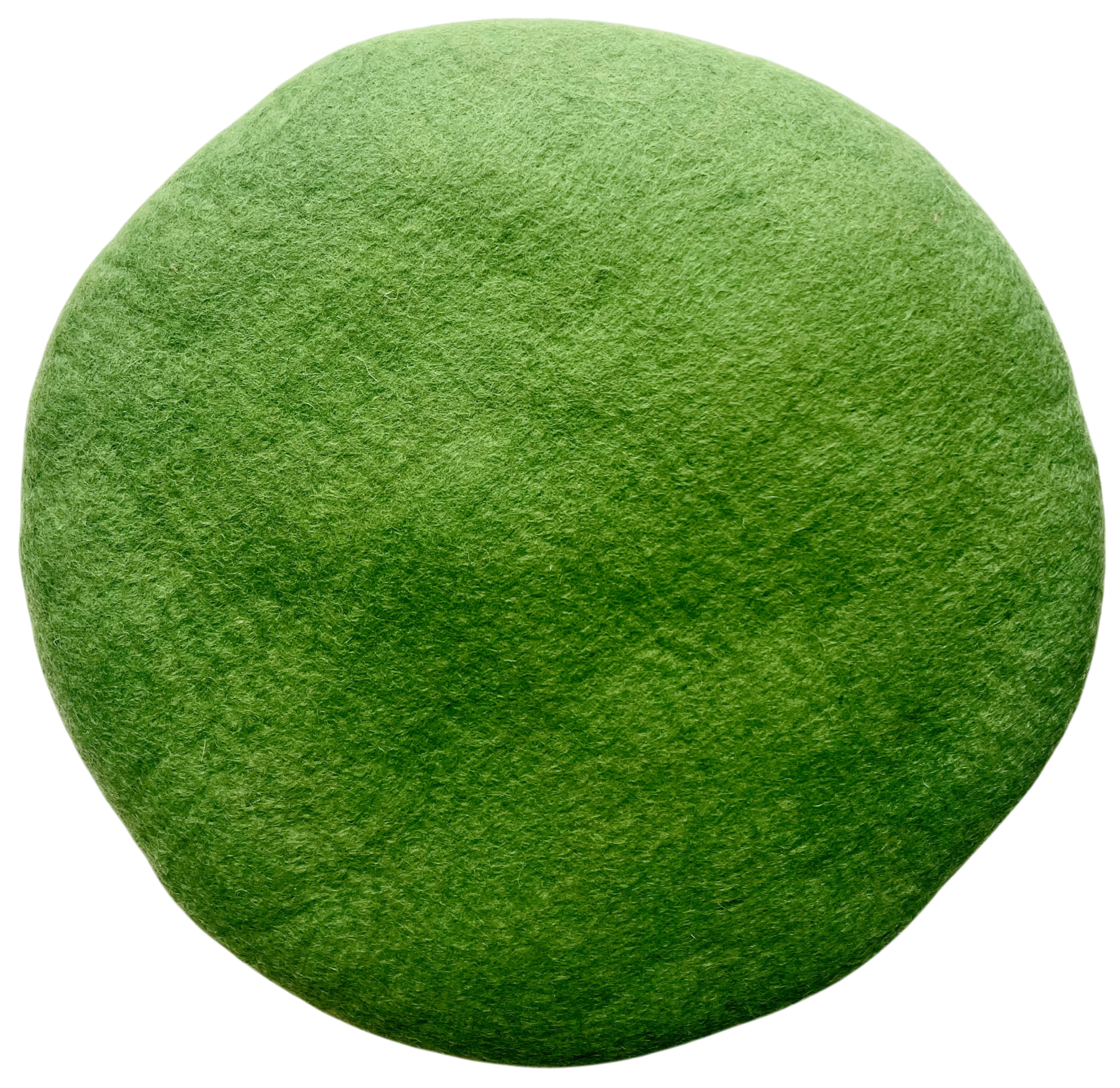 Coastal Green Tush Cush