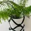 Thumbnail: Little Potter Large Dark Chocolate leather planter