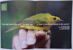 Audubon Strategic Plan - 2016