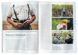 Audubon - Magazine
