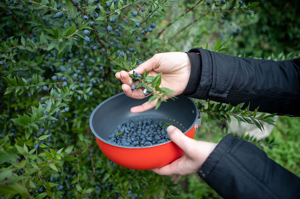 Nostrale - Fatti Gli Amari Tuoi