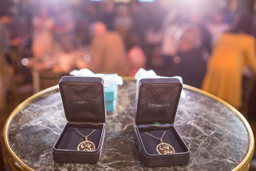 Women In Conservation - The Plaza