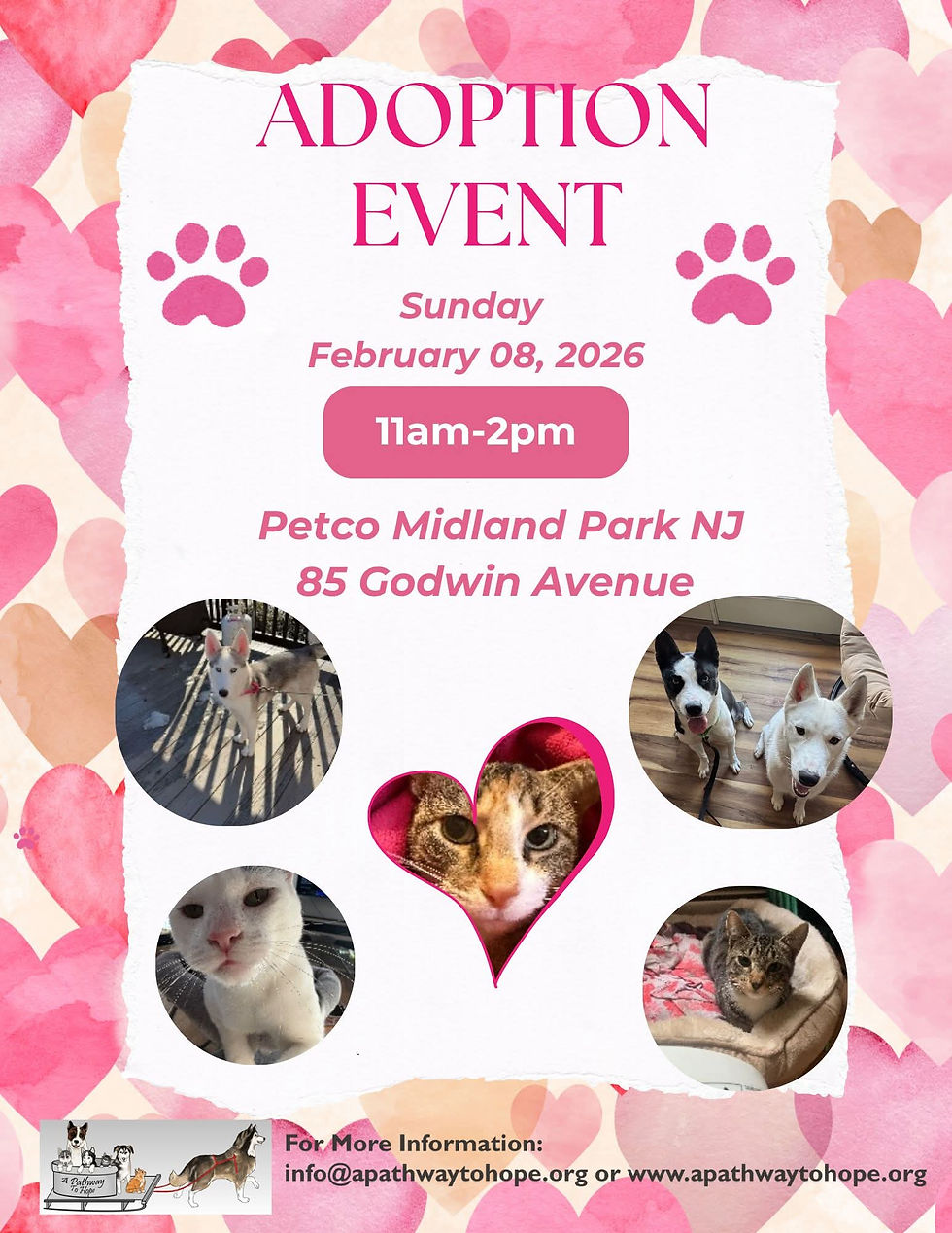 Pet adoption event