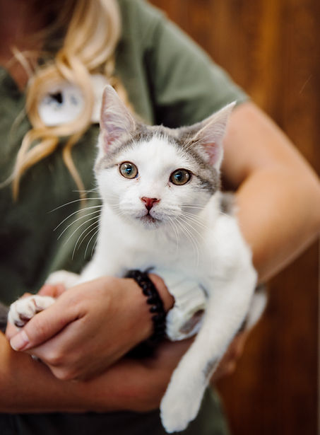 092121_PETPORTRAITS(24of84).jpg