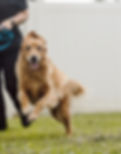 083021_theanimaldocter(76of107).jpg