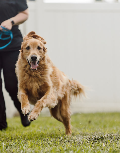 083021_theanimaldocter(76of107).jpg