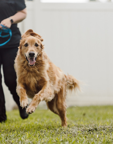083021_theanimaldocter(76of107).jpg