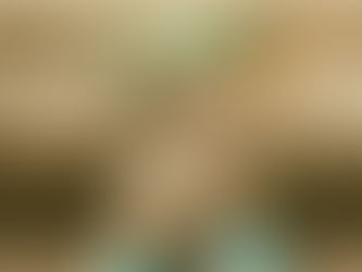 The Outer Ear: What does it do apart from Collecting Wax & why is Indoor Plumbing to Blame for this?