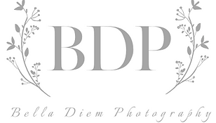 watermarkBDP.png