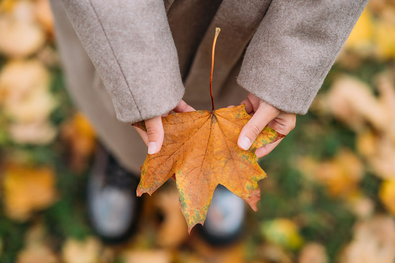 autumn-leaves-girl-hands-close-view.jpg