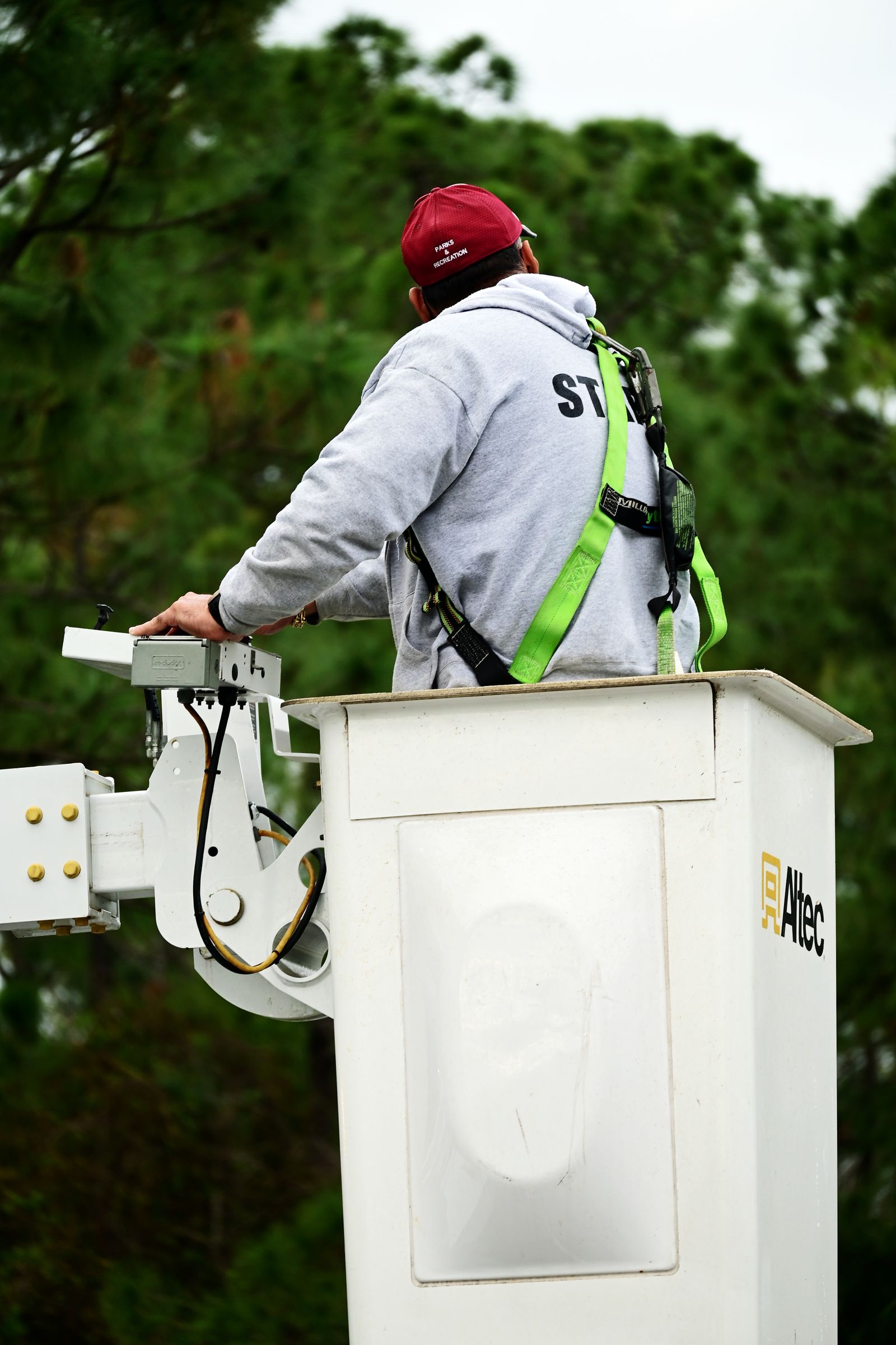 Tree Care