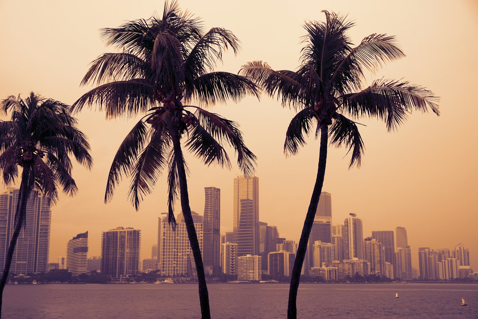 Urth Landscaping — Miami skyline, South Florida