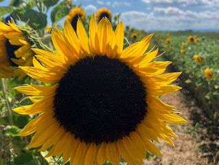 Sourions à la Rentrée 2025 !