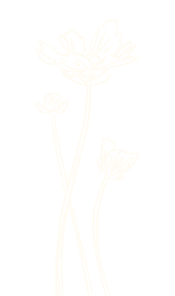 BLUMEN-31_bearbeitet.png