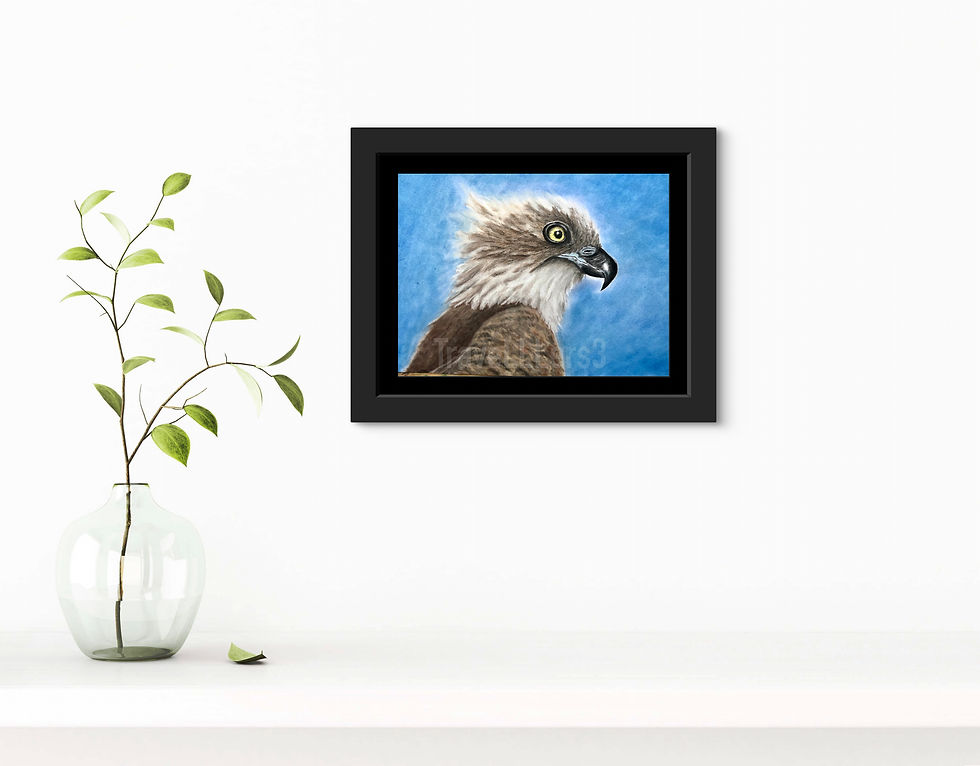 Thumbnail: Bird of Prey