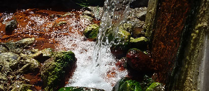 20180402_133557.jpg