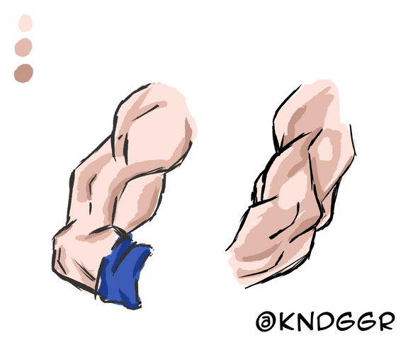 Dragon Ball Z Anatomy
