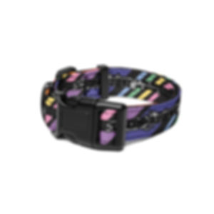 Colorful Stripes and Clarinets Pet collar