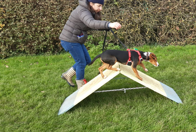 WhatsApp Image 2022-02-08 at 20.57.50 (1).jpeg